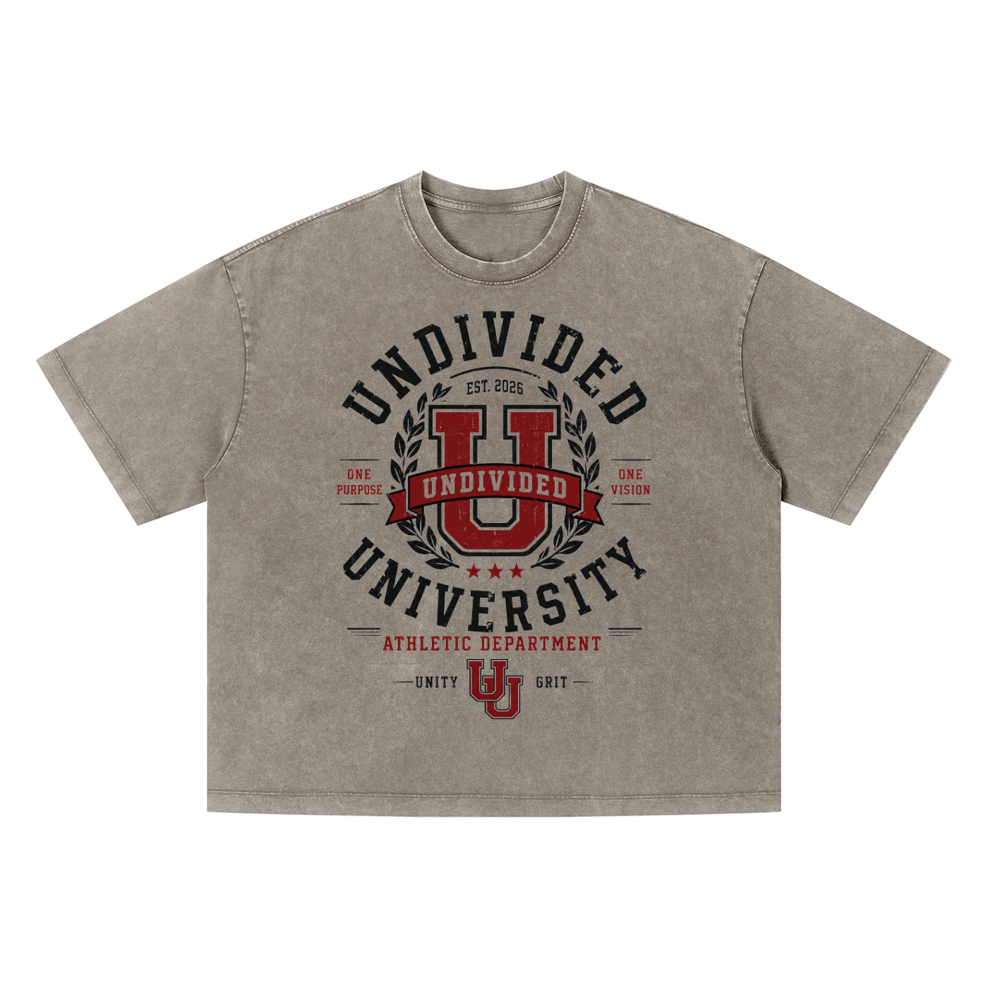 Undivided University Tee
